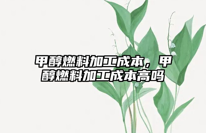 甲醇燃料加工成本，甲醇燃料加工成本高嗎