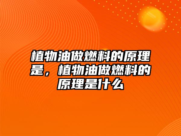 植物油做燃料的原理是，植物油做燃料的原理是什么