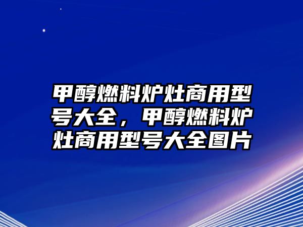 甲醇燃料爐灶商用型號大全，甲醇燃料爐灶商用型號大全圖片