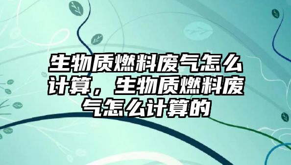 生物質(zhì)燃料廢氣怎么計算，生物質(zhì)燃料廢氣怎么計算的