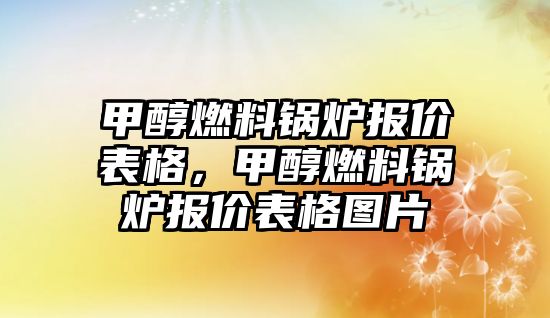 甲醇燃料鍋爐報(bào)價(jià)表格，甲醇燃料鍋爐報(bào)價(jià)表格圖片