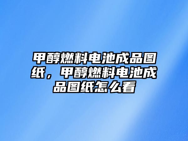 甲醇燃料電池成品圖紙，甲醇燃料電池成品圖紙?jiān)趺纯? class=