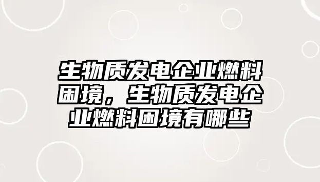 生物質(zhì)發(fā)電企業(yè)燃料困境，生物質(zhì)發(fā)電企業(yè)燃料困境有哪些