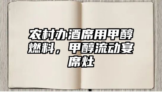 農(nóng)村辦酒席用甲醇燃料，甲醇流動宴席灶