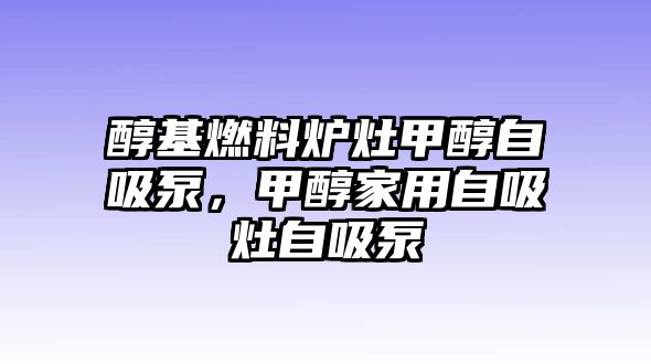 醇基燃料爐灶甲醇自吸泵，甲醇家用自吸灶自吸泵