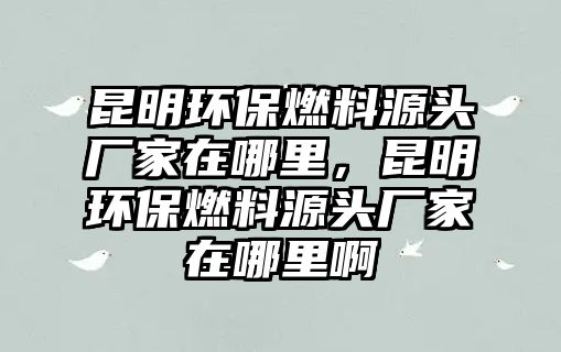 昆明環(huán)保燃料源頭廠家在哪里，昆明環(huán)保燃料源頭廠家在哪里啊