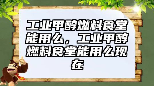 工業(yè)甲醇燃料食堂能用么，工業(yè)甲醇燃料食堂能用么現(xiàn)在