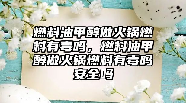 燃料油甲醇做火鍋燃料有毒嗎，燃料油甲醇做火鍋燃料有毒嗎安全嗎