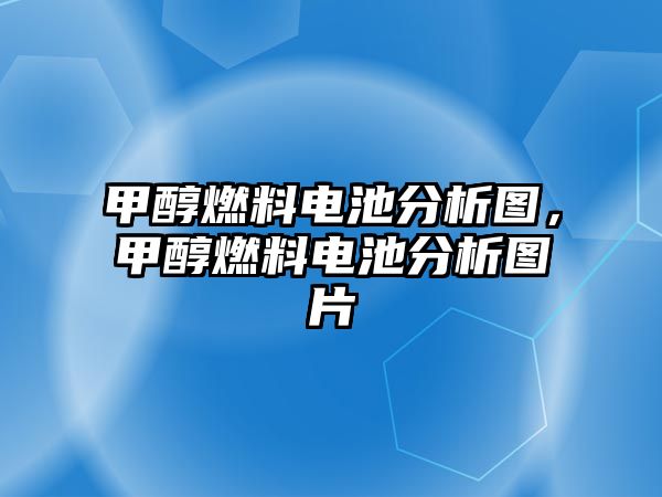 甲醇燃料電池分析圖，甲醇燃料電池分析圖片