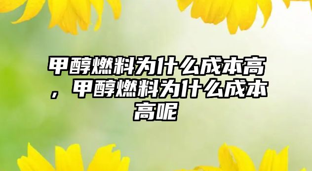 甲醇燃料為什么成本高，甲醇燃料為什么成本高呢