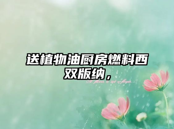 送植物油廚房燃料西雙版納，