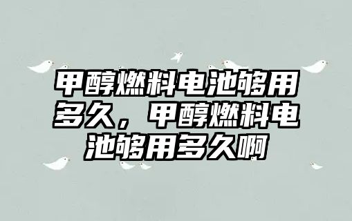 甲醇燃料電池夠用多久，甲醇燃料電池夠用多久啊