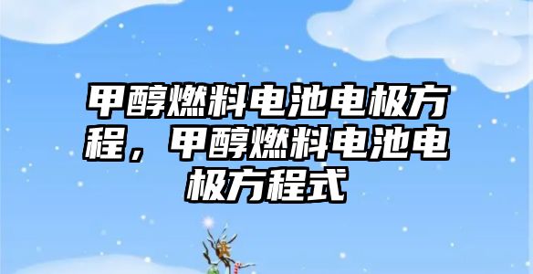 甲醇燃料電池電極方程，甲醇燃料電池電極方程式