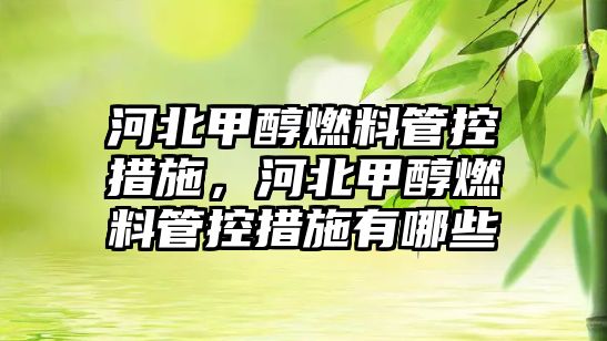 河北甲醇燃料管控措施，河北甲醇燃料管控措施有哪些