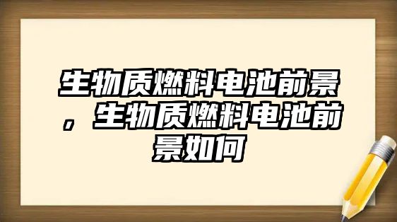 生物質(zhì)燃料電池前景，生物質(zhì)燃料電池前景如何