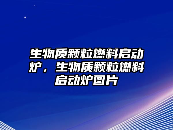 生物質(zhì)顆粒燃料啟動爐，生物質(zhì)顆粒燃料啟動爐圖片