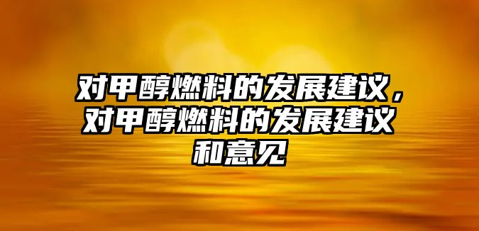 對(duì)甲醇燃料的發(fā)展建議，對(duì)甲醇燃料的發(fā)展建議和意見(jiàn)