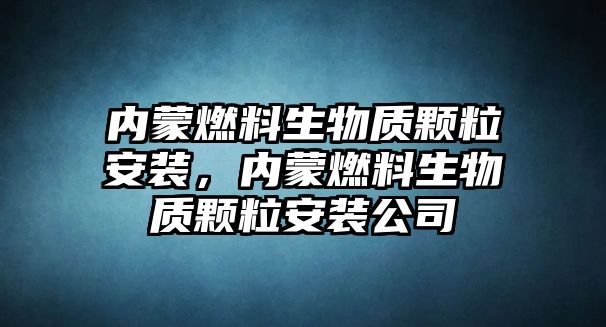 內(nèi)蒙燃料生物質(zhì)顆粒安裝，內(nèi)蒙燃料生物質(zhì)顆粒安裝公司