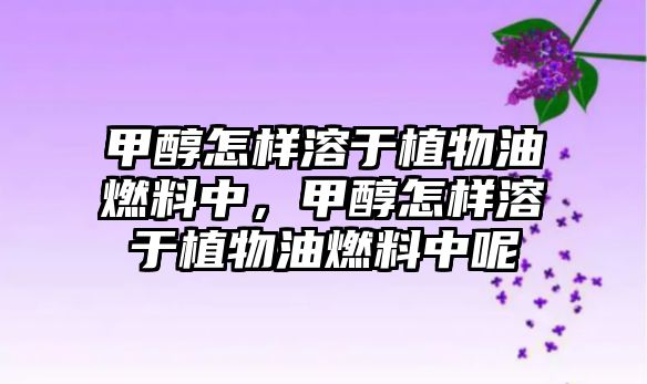 甲醇怎樣溶于植物油燃料中，甲醇怎樣溶于植物油燃料中呢