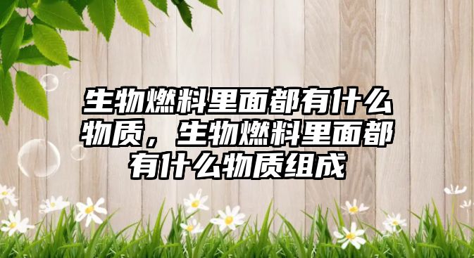 生物燃料里面都有什么物質(zhì)，生物燃料里面都有什么物質(zhì)組成