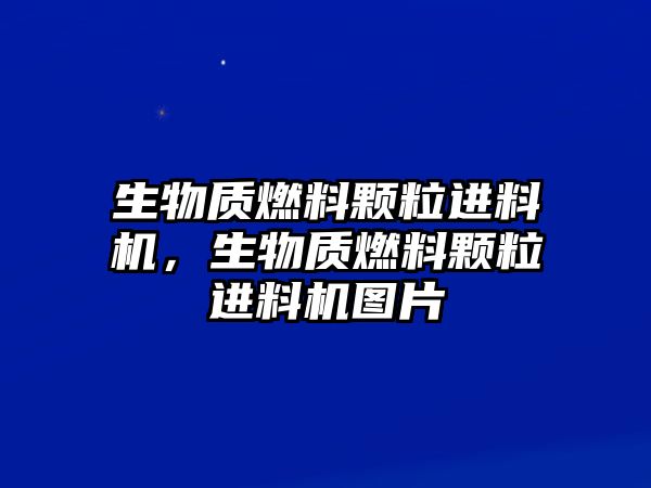 生物質(zhì)燃料顆粒進(jìn)料機，生物質(zhì)燃料顆粒進(jìn)料機圖片