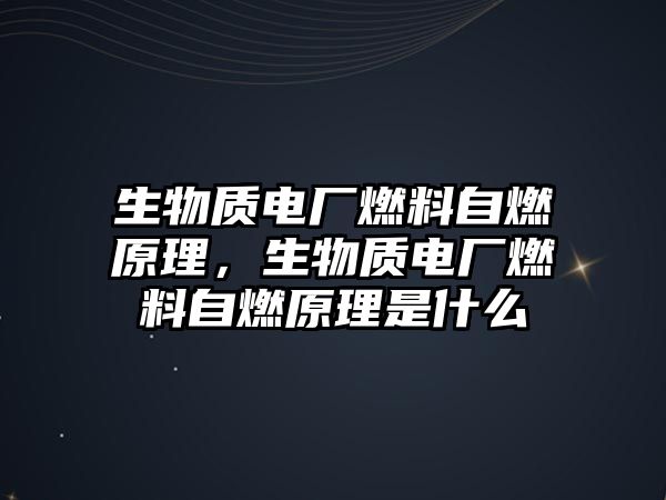 生物質(zhì)電廠燃料自燃原理，生物質(zhì)電廠燃料自燃原理是什么