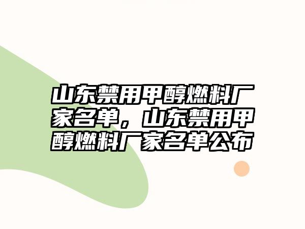 山東禁用甲醇燃料廠家名單，山東禁用甲醇燃料廠家名單公布