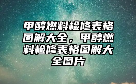 甲醇燃料檢修表格圖解大全，甲醇燃料檢修表格圖解大全圖片