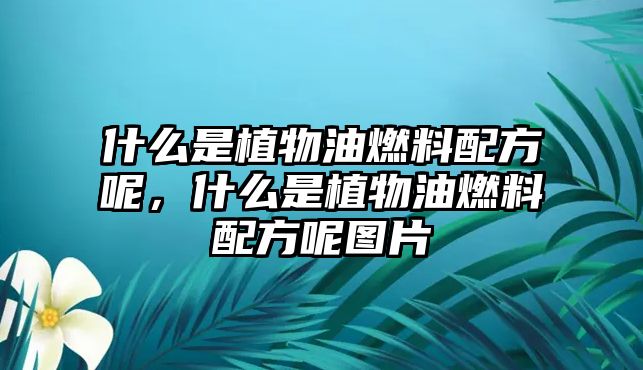 什么是植物油燃料配方呢，什么是植物油燃料配方呢圖片