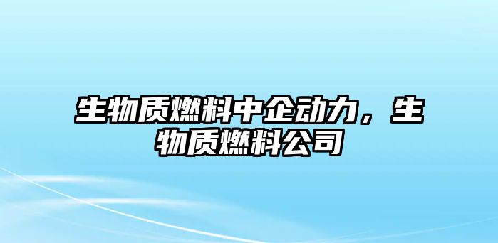 生物質(zhì)燃料中企動力，生物質(zhì)燃料公司