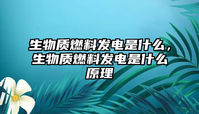 生物質(zhì)燃料發(fā)電是什么，生物質(zhì)燃料發(fā)電是什么原理