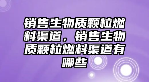 銷售生物質(zhì)顆粒燃料渠道，銷售生物質(zhì)顆粒燃料渠道有哪些