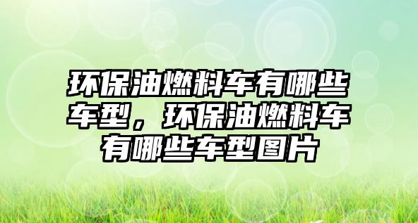 環(huán)保油燃料車有哪些車型，環(huán)保油燃料車有哪些車型圖片