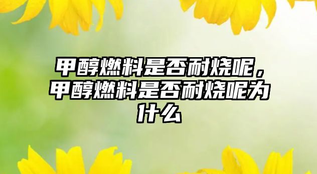 甲醇燃料是否耐燒呢，甲醇燃料是否耐燒呢為什么