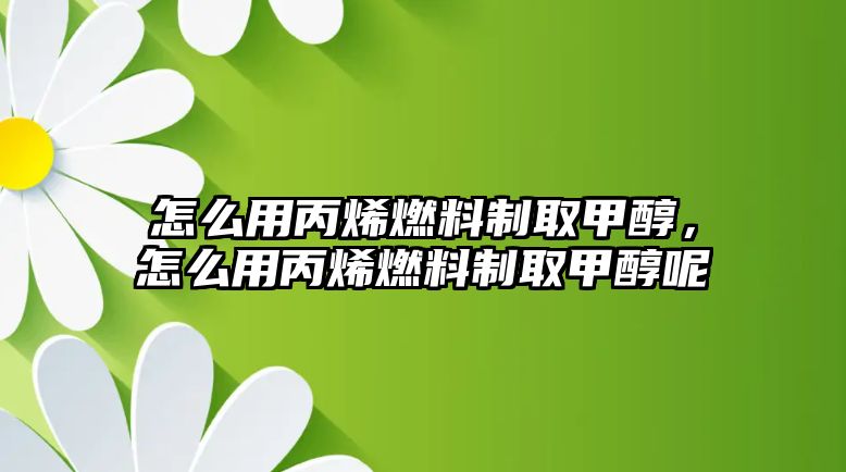 怎么用丙烯燃料制取甲醇，怎么用丙烯燃料制取甲醇呢