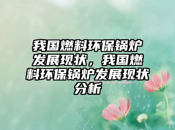 我國燃料環(huán)保鍋爐發(fā)展現(xiàn)狀，我國燃料環(huán)保鍋爐發(fā)展現(xiàn)狀分析