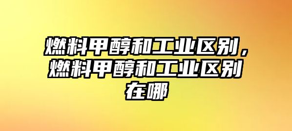 燃料甲醇和工業(yè)區(qū)別，燃料甲醇和工業(yè)區(qū)別在哪