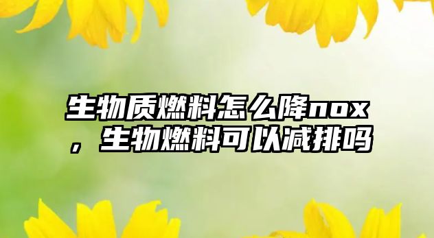 生物質(zhì)燃料怎么降nox，生物燃料可以減排嗎