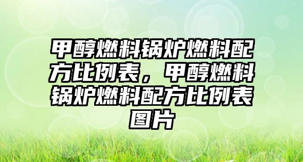 甲醇燃料鍋爐燃料配方比例表，甲醇燃料鍋爐燃料配方比例表圖片