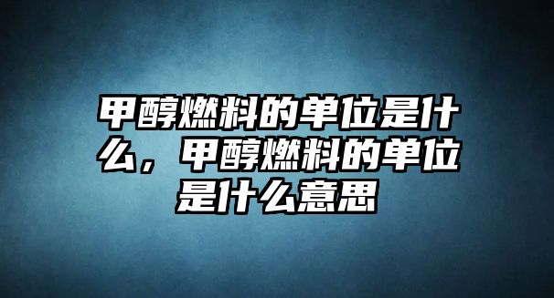 甲醇燃料的單位是什么，甲醇燃料的單位是什么意思