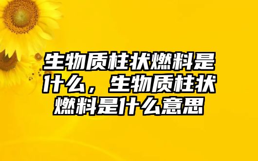 生物質(zhì)柱狀燃料是什么，生物質(zhì)柱狀燃料是什么意思