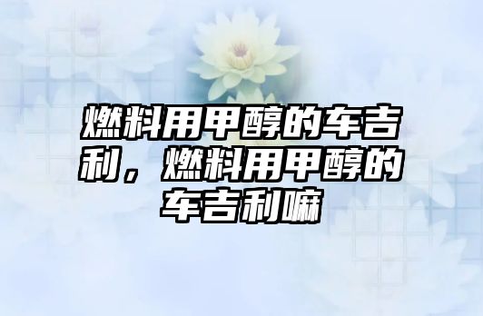 燃料用甲醇的車吉利，燃料用甲醇的車吉利嘛