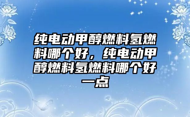 純電動甲醇燃料氫燃料哪個好，純電動甲醇燃料氫燃料哪個好一點