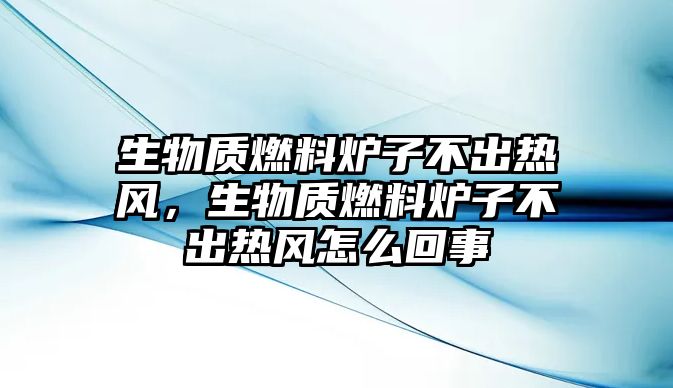 生物質(zhì)燃料爐子不出熱風(fēng)，生物質(zhì)燃料爐子不出熱風(fēng)怎么回事