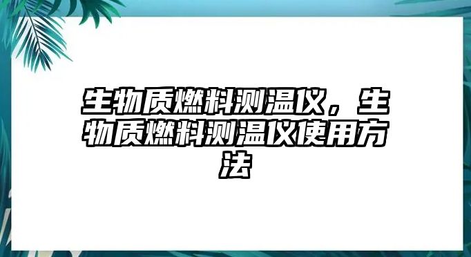 生物質(zhì)燃料測溫儀，生物質(zhì)燃料測溫儀使用方法