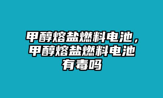 甲醇熔鹽燃料電池，甲醇熔鹽燃料電池有毒嗎