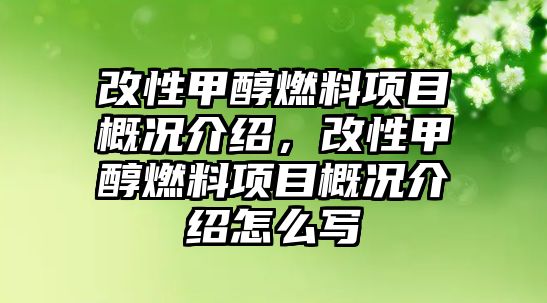 改性甲醇燃料項目概況介紹，改性甲醇燃料項目概況介紹怎么寫