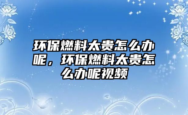 環(huán)保燃料太貴怎么辦呢，環(huán)保燃料太貴怎么辦呢視頻