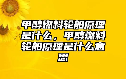 甲醇燃料輪船原理是什么，甲醇燃料輪船原理是什么意思