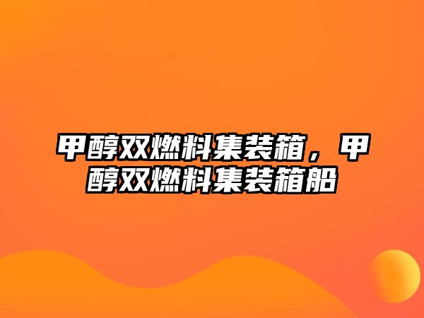 甲醇雙燃料集裝箱，甲醇雙燃料集裝箱船